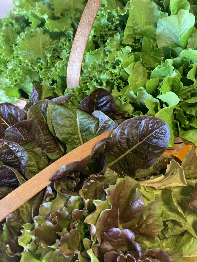 This Hidden Secret At the Farm Stand Will Change Everything About Fresh Food!
